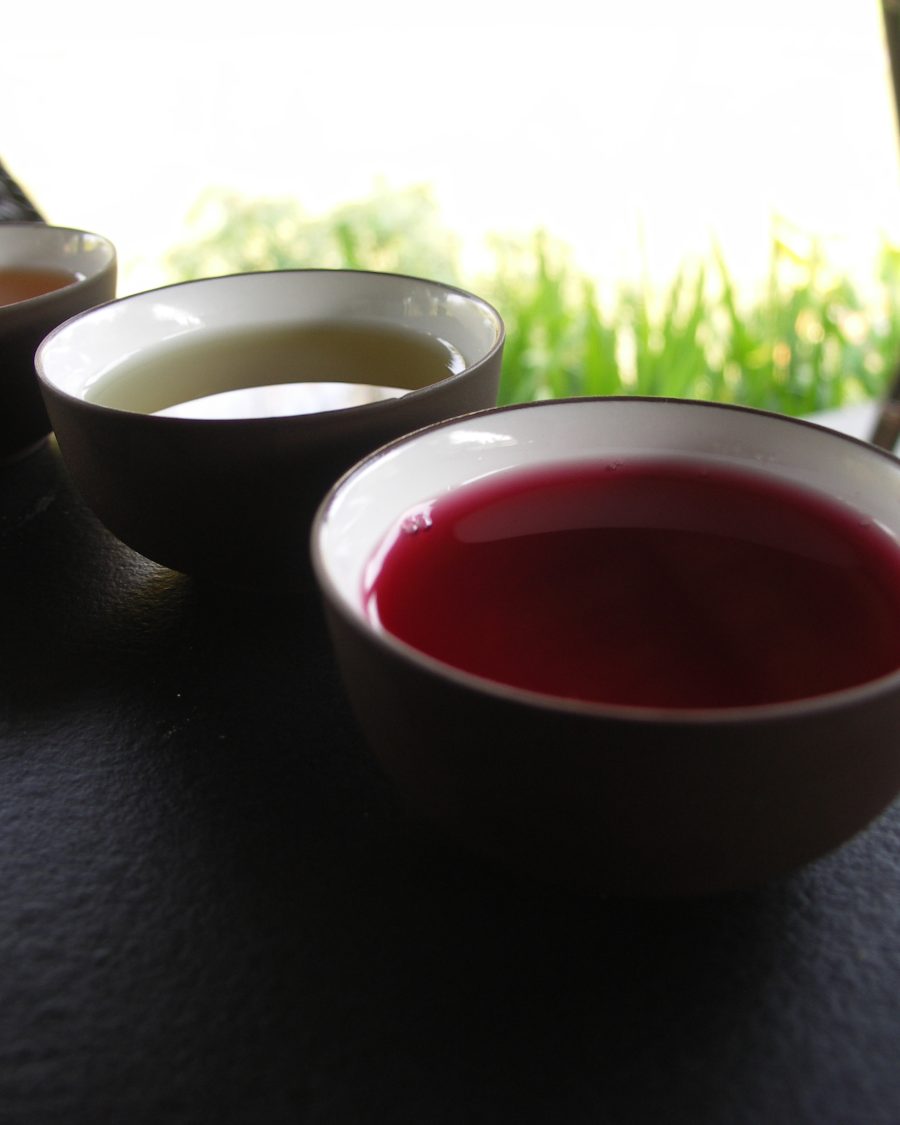 Tea taster cupping and evaluating liquor samples