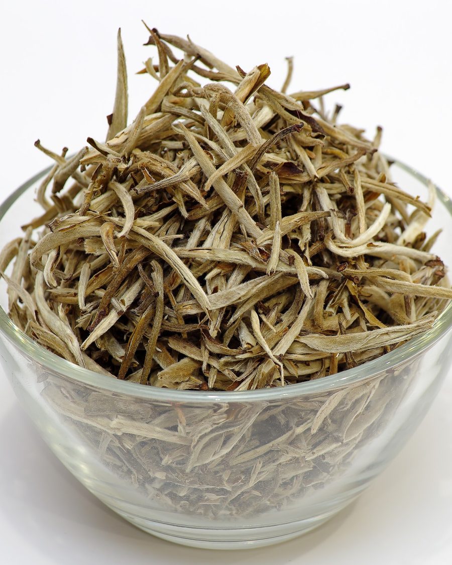 White tea buds drying, silver-white downy leaf buds